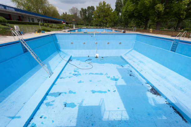 Best Carpet water damage restoration  in Wilkinsburg, PA