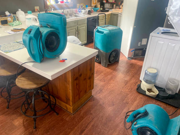 Best Carpet water damage restoration  in Wilkinsburg, PA