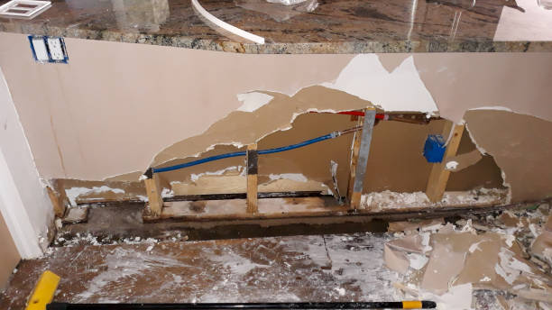 Best 24/7 water damage repair  in Wilkinsburg, PA