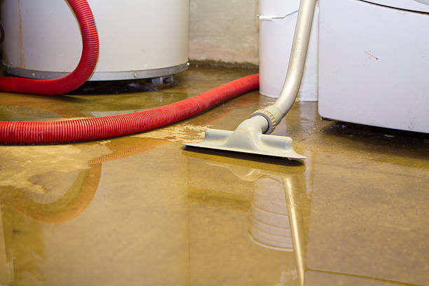 Best Flooded house restoration  in Wilkinsburg, PA